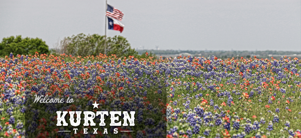 Photo of Bluebonnet field